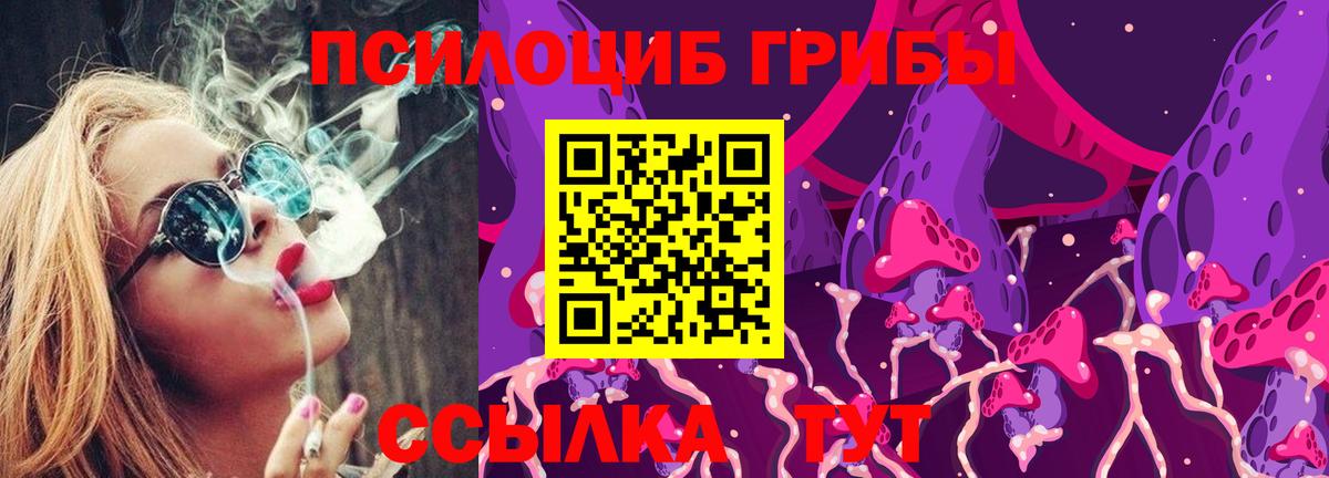где найти наркотики  Галлюциногенные грибы Magic Shrooms  Зеленокумск  Вход с VPN  Псилоцибиновые грибы MAGIC MUSHROOMS 